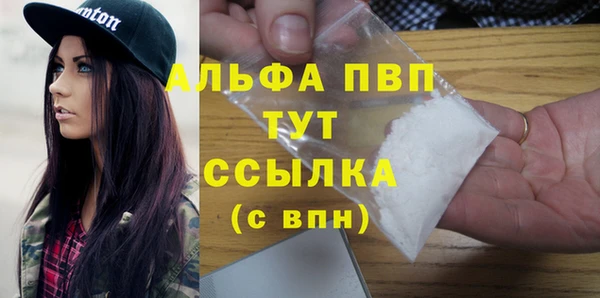 гашик Алексин