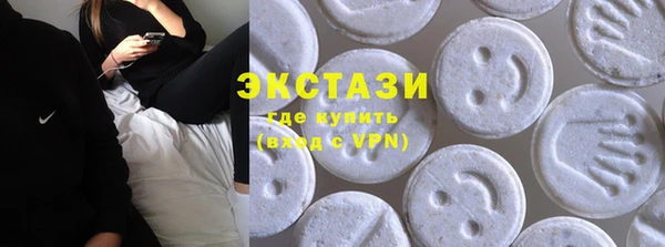 гашик Алексин