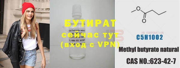 гашик Алексин