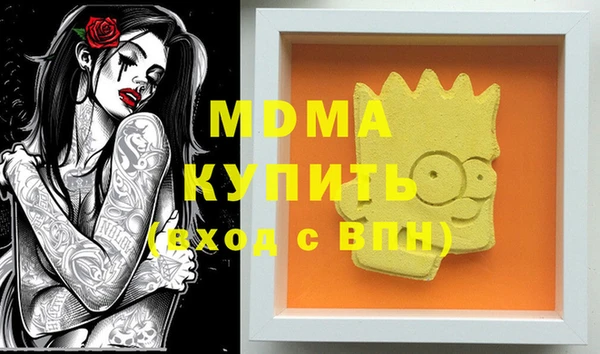 гашик Алексин