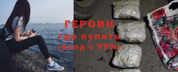 гашик Алексин